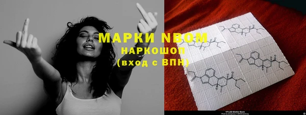прущие грибы Бородино