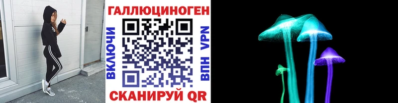 Галлюциногенные грибы Cubensis  Черногорск 